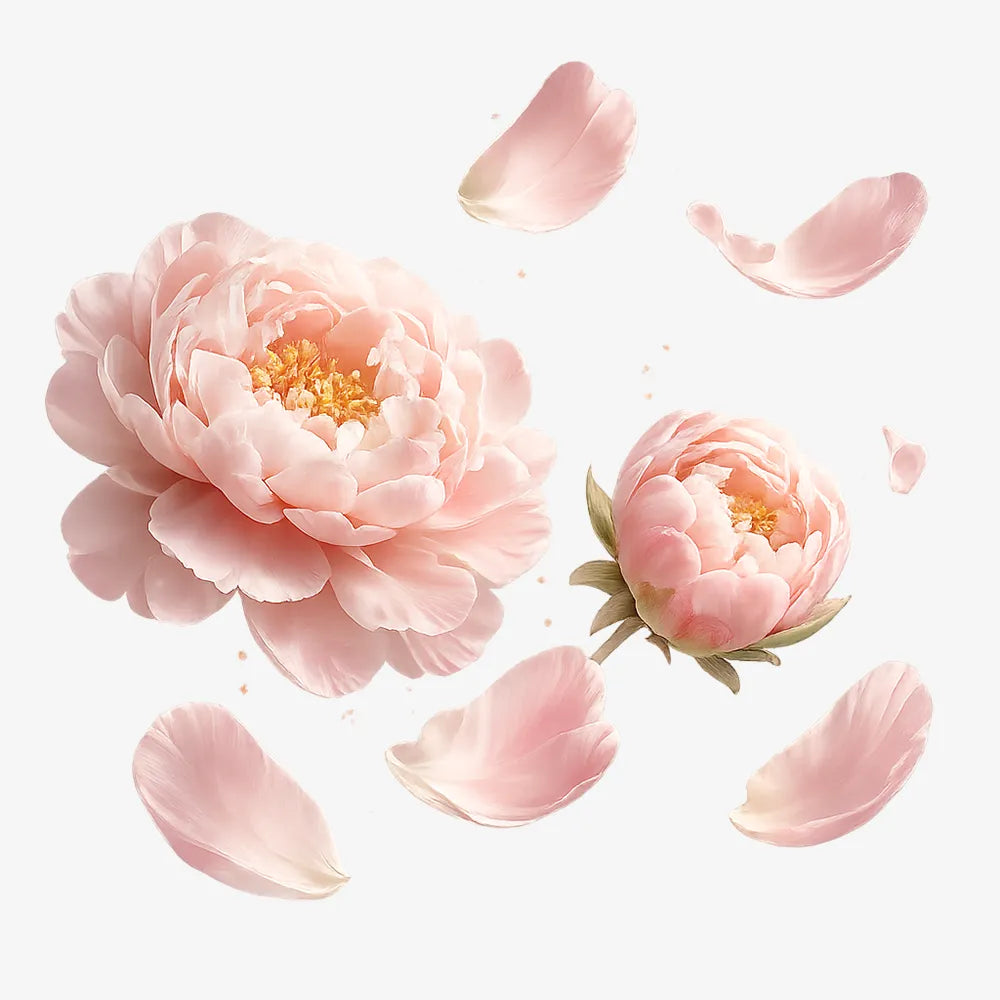 Peony