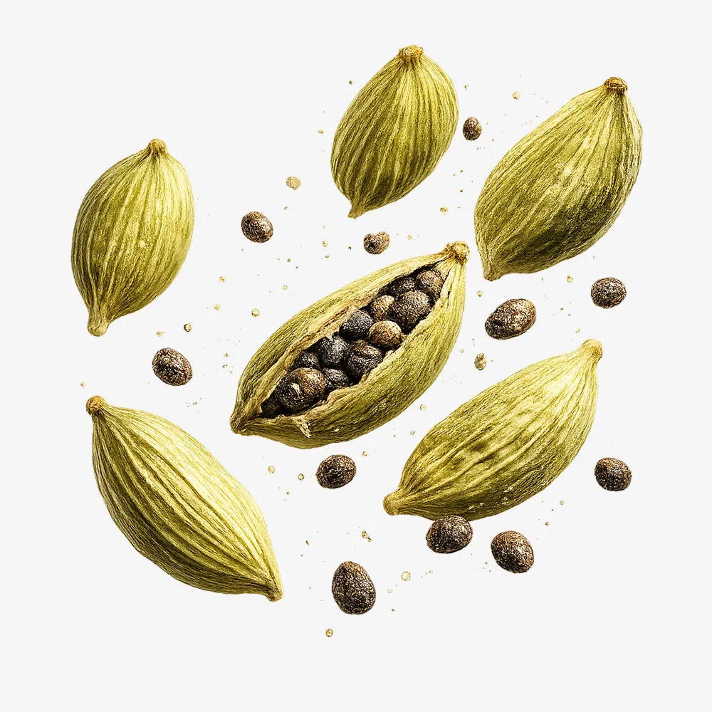 Cardamom