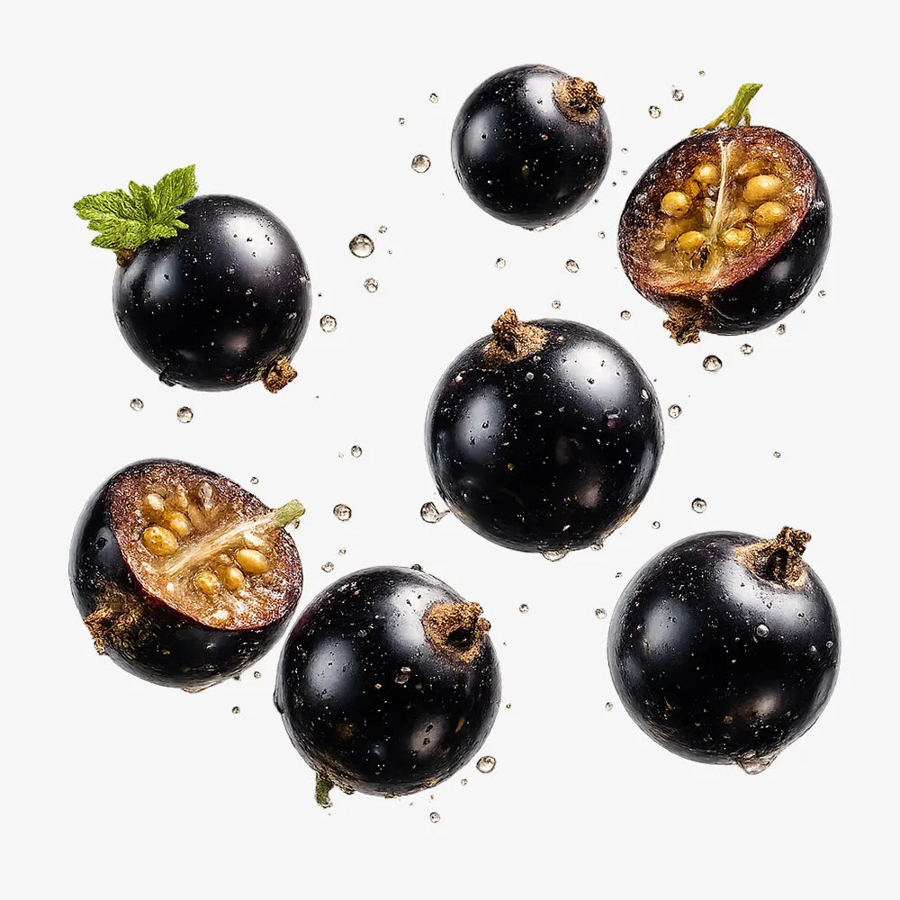 Blackcurrent