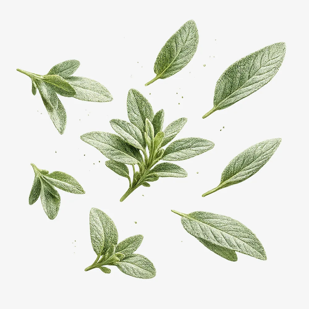 Sage