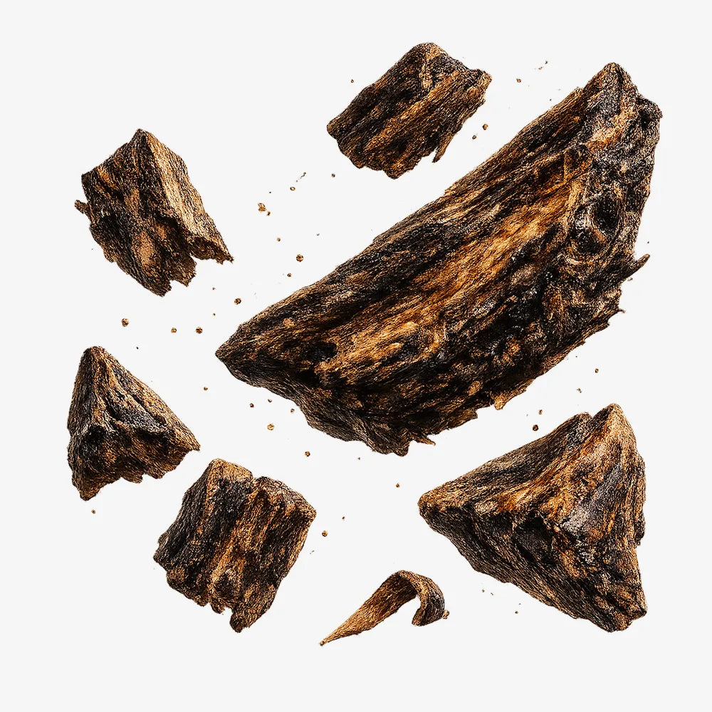 Agarwood (Oud)