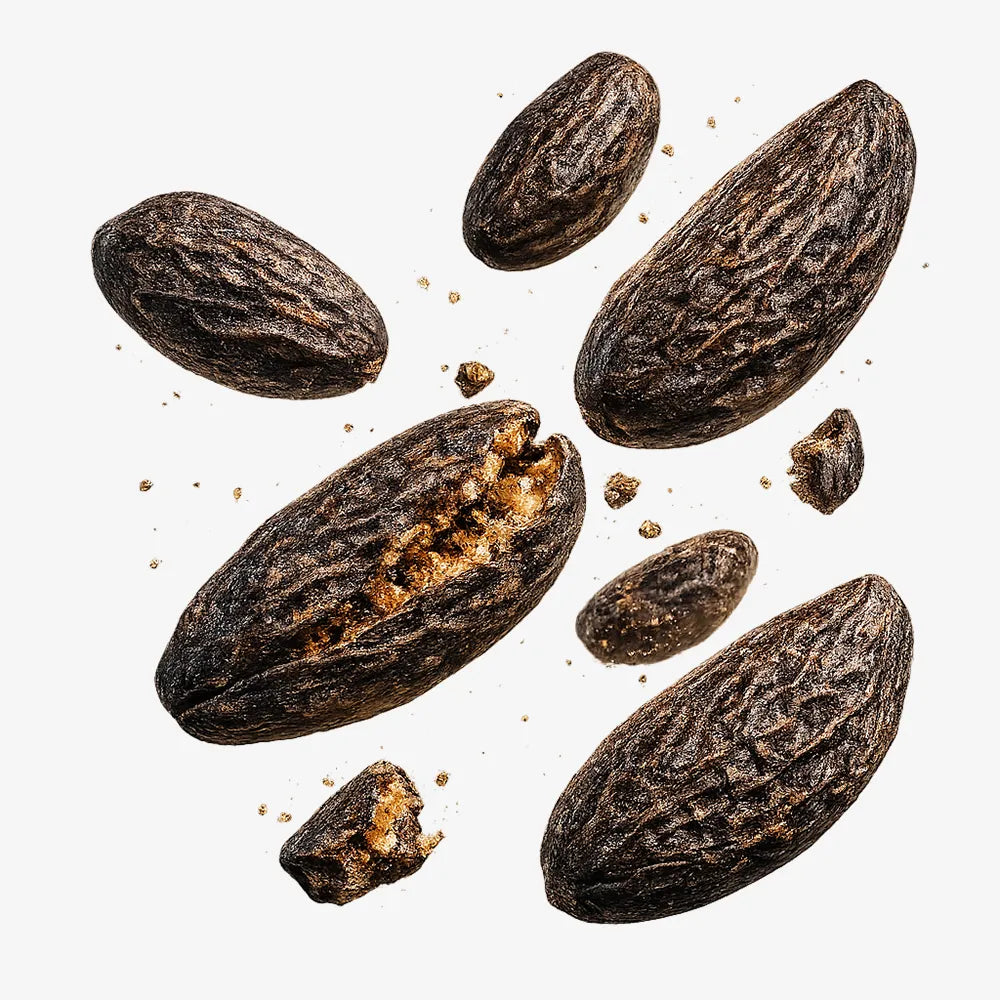 Tonka Bean