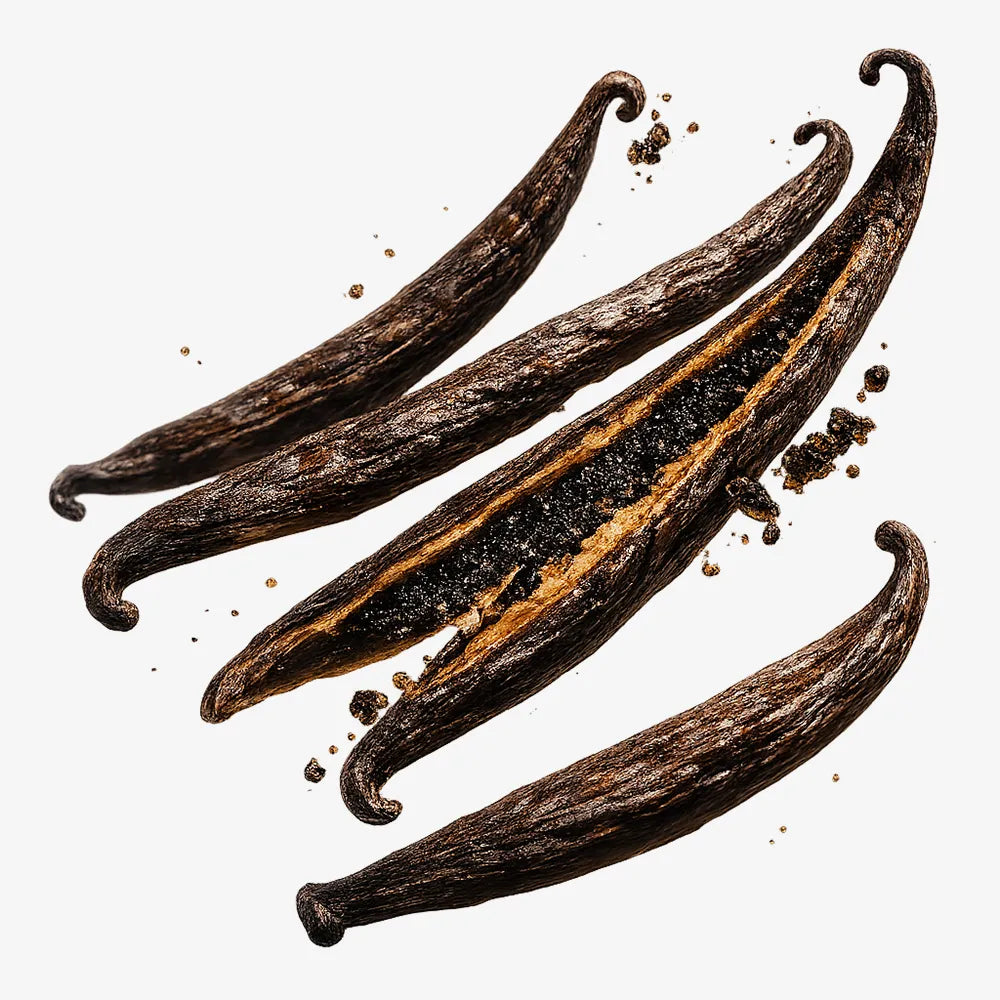 Vanilla