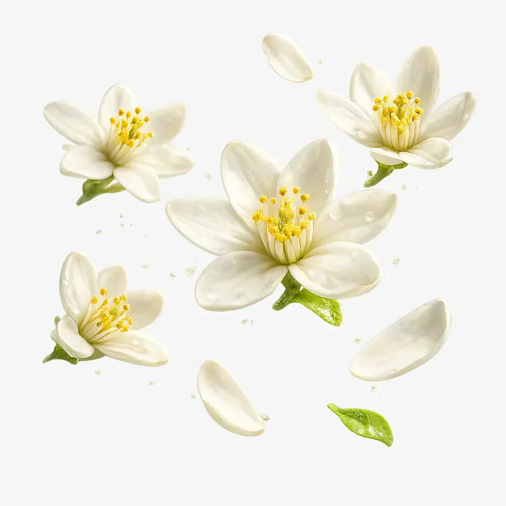 Orange Blossom