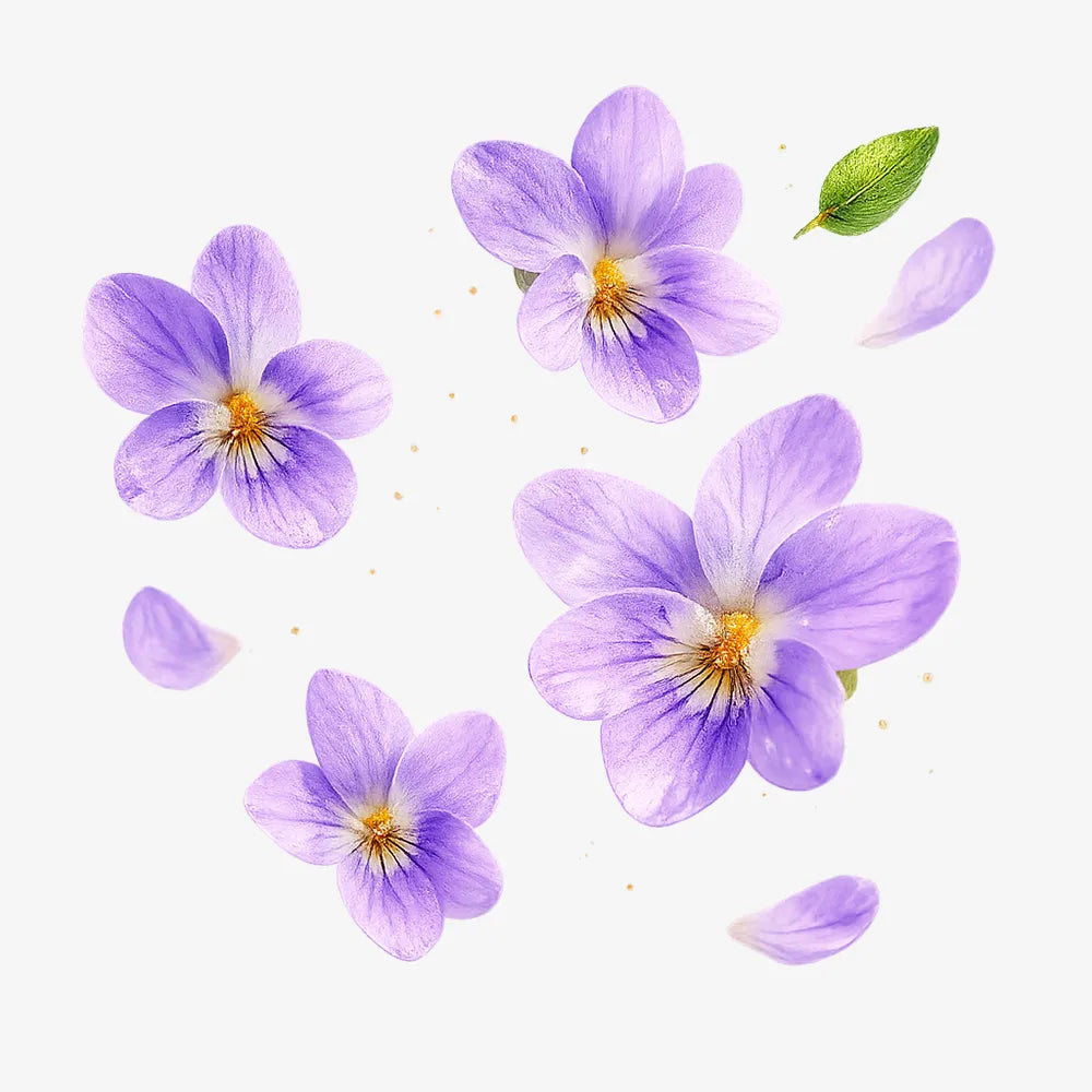 Violet