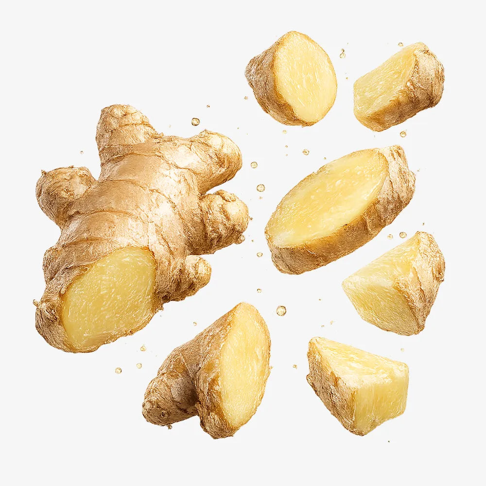 Ginger